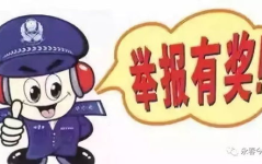 举报娱乐营业,举报事件引发的行业整顿风暴