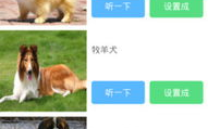 狗叫声大全娱乐,趣味解读狗狗的“语言世界”