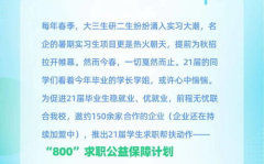 个人求职简历范文800字,800字展现个人风采与职业潜力