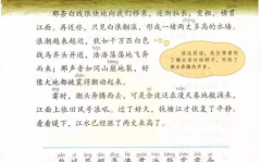 观潮课文教案,领略自然奇观，感悟人生哲理