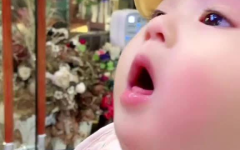 娱乐吃瓜酱人类幼崽,揭秘人类幼崽的萌态与成长
